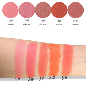 Makeup cosmetics oem compact private label blush palette