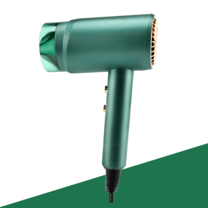 PRITECH High Quality Custom Ionic Function Professional House Travel  DC Motor Hair Dryer