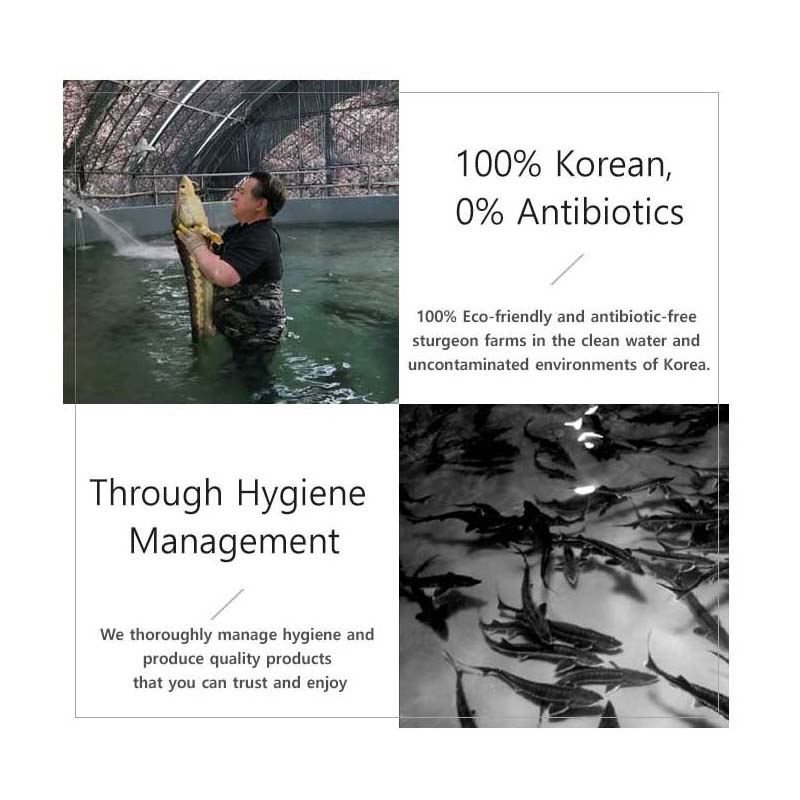 The Zoeun Skin Total Care Cream , K-Beauty Skin Care (Sturgeon Cosmetics)