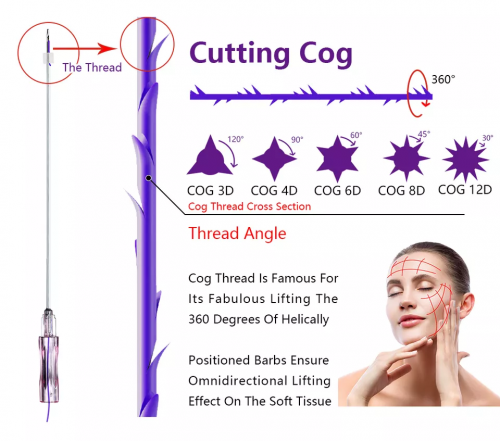 Best Price Long Lifting Eyebrow Lifting Blunt W Cannula 20g 380mm/400mm/600mm/800mm/1000mm Pdo Cog Threads