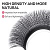 3D 4D 5D W Korean PBT Fiber Vegan Natural Long Eyelashes Premade Clover Premium Weave Lash Extension Trays