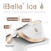 2020 Hot Selling Multipole RF Meso Gun EMS Needle-Free Injection Gun for Face and Body Skin Tightening and Whitening Treatment