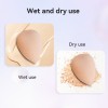 Latex-Free Beauty Sponge | BASF Material, Flawless Foundation Blender
