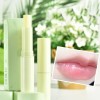 Natural Fruit Deep Nourishing Hydrating Flavored Lasting Lip Balm Gloss