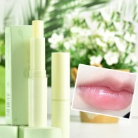 Natural Fruit Deep Nourishing Hydrating Flavored Lasting Lip Balm Gloss
