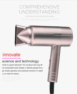 2021 New Design Household Personal Beauty Care Negative Ion Hair Dryer Blow Dryer Hair Dryer