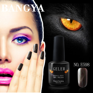 Best Selling Products 2018 In USA Cat Eye Gel 15ml Nail Polish Bottle For Salon Use