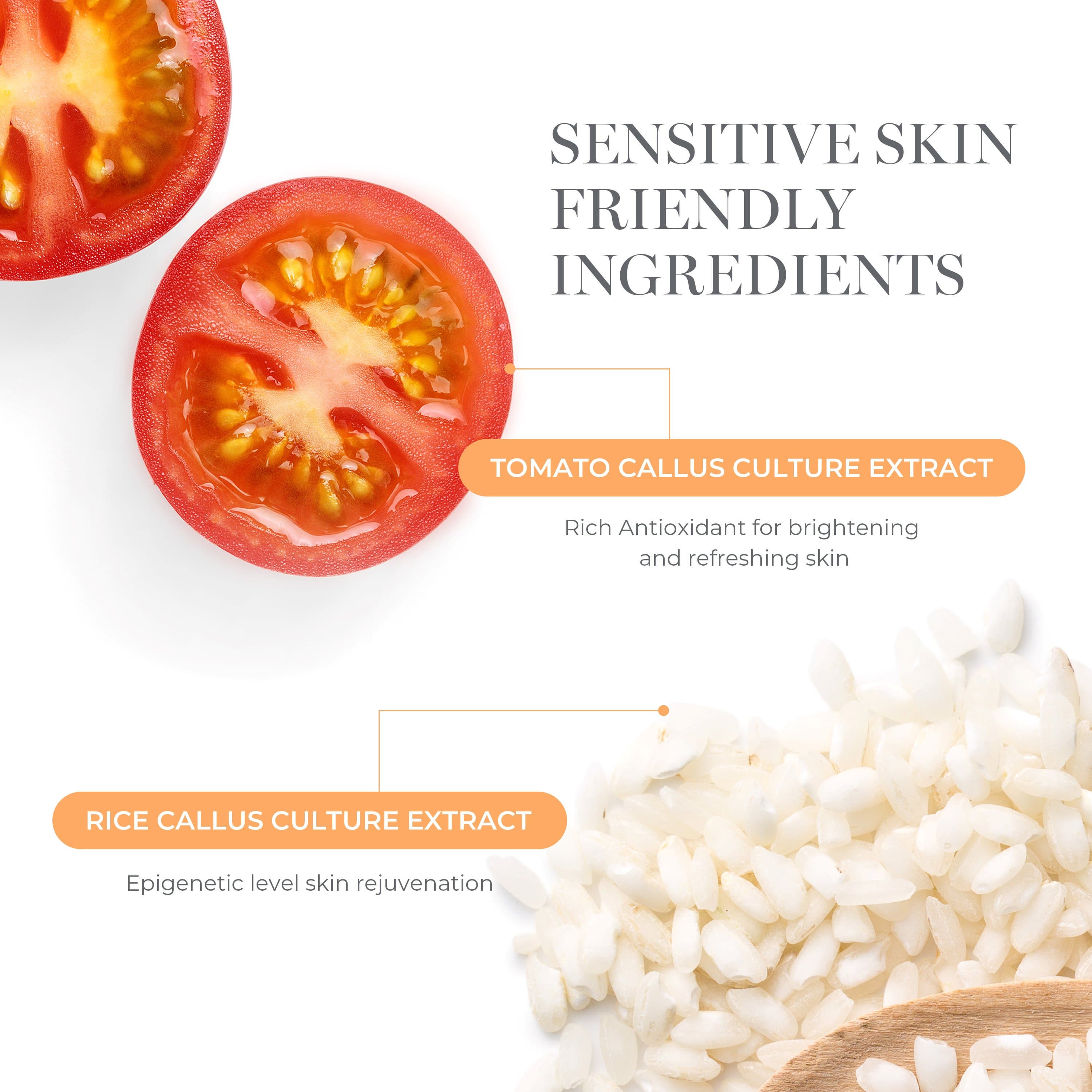 [COSHEAL] Brightening Firm Cream