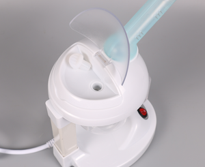 DT-66 Ionic hair Steamer