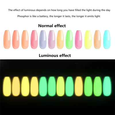 Nail Design Nail Fluorescent Luminous Powder Glow in The Dark Pigment Nail Powder Set 12 Colors Nail Acrylic Pigment Powder
