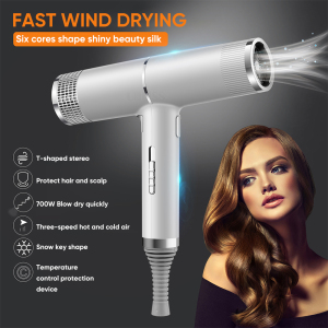Professional Anion Hair Dryer Negative Ion Quick Dry Home Powerful Electric Hair Dryer
