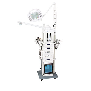 SW-19M 19 in 1 Facial Equipment Used With Ultrasound Therapy CE approved