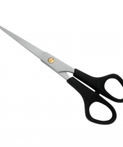 Plastic Handle Scissors