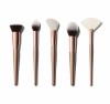 OEM 5pcs Synthetic hair face makeup brush set