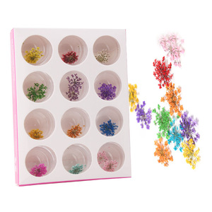 12 colors nail art decorations natural dry flower nail art real dry lace flowers for UV gel DIY manicure designs
