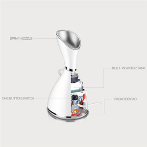 Beauty Products Handheld Nano Face Spray Electric Facial Steamer