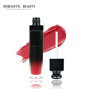 Romantic Beauty Moq 20pieces Custom Non-stick Cup Lip Gloss Moisturizing Waterproof Velvet Matte Lip Glaze
