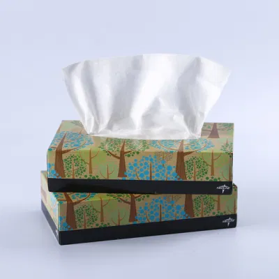 V-Fold Box Facial Tissue 210*200mm for Home and Hotel