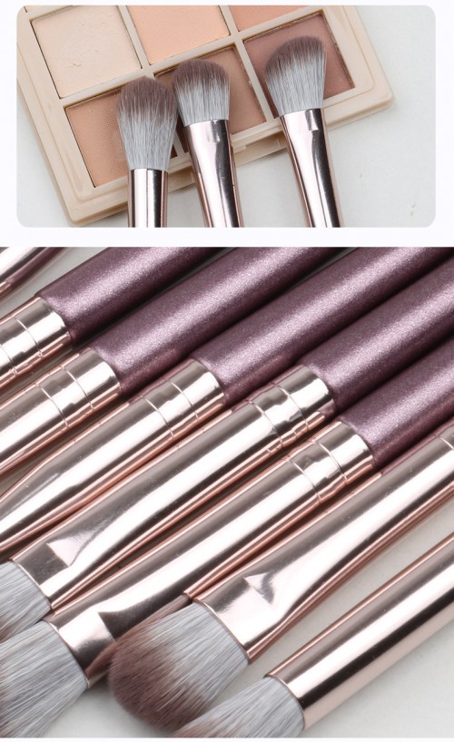 OEM 10PCS Eye Makeup Brush Set