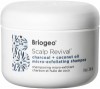 Briogeo Micro-Exfoliating Shampoo
