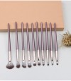 OEM 10PCS Eye Makeup Brush Set