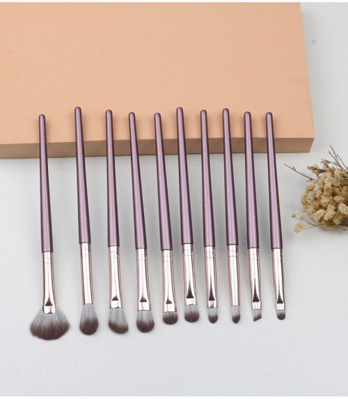 OEM 10PCS Eye Makeup Brush Set