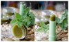 Lip Balm Custom OEM Longer Moisturizing Lip Balm