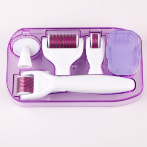 Derma Roller 6 in 1 Hair Growth Derma Roller Kit Microneedle System Dermaroller Derma Roller