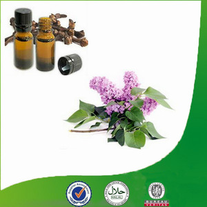 High Quality Eugenol Oil for Perfume Oil Manufacturing