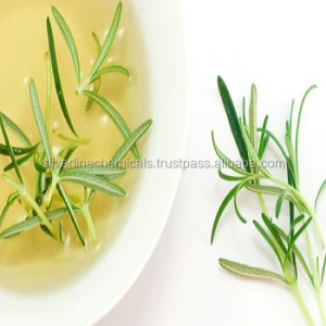 Hot-selling good product natural best quality rosemary Oil