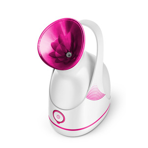 Professional personal light therapy ion vapour facial steamer for face