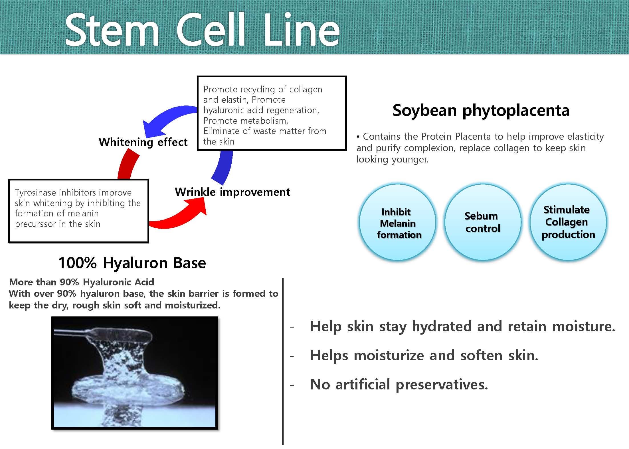STEM CELL LIPOSOME SERUM