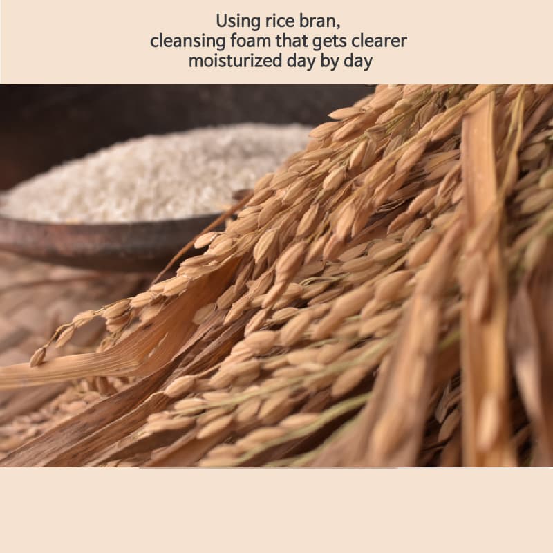 WHAYUNSUL ESSENTIAL FOAM CLEANSING,Rice husk extract, whitening, removal of no substance, deep clean