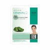 DERMAL Collagen Essence Mask Aloe