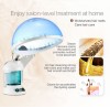 2020 Popular Top Quality Factory face beauty Hot Nano Facial and hair steamer / Hot Nano Facial and hair steamer