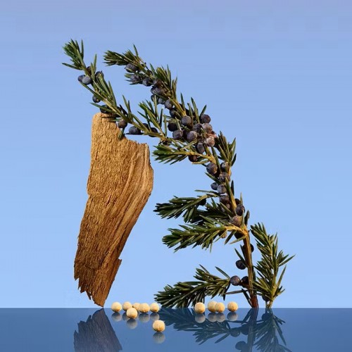 CALVIN KLEIN CK BE 200ML EDT SPRAY