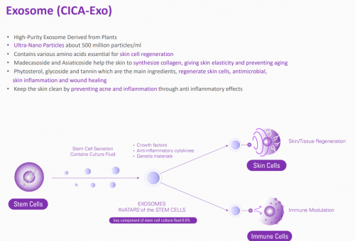 Selastin Exo Plus Exosome + PDRN Premium Skin Rejuvenation