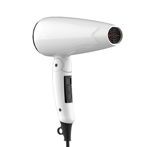 AC motor Dual Voltage Blow Dryer Lightweight home/salom/hotel/Travel Hair Dryers