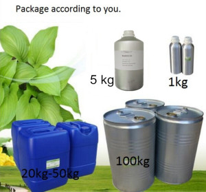 Bulk fragrance lavender essential  oil wholesale price