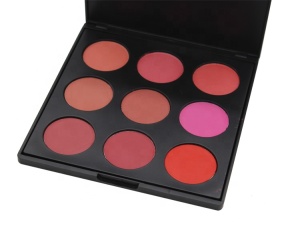 Hot Trending 9 Color High Pigment Blusher Vendor Blush Palette