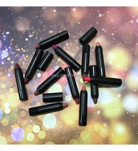 No Logo Lip Matte Lipstick Crayon 12 Color Lipstick Low Moq