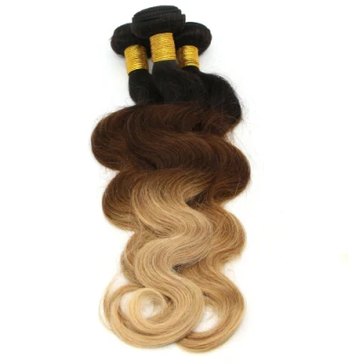 Ombre 1b/4/27 Brazilian Human Remy Hair Body Wave Remy Hair Bundles