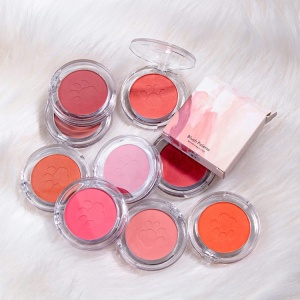 Single Blush Pan Private Label Blush Palette Logo Natural High Pigment Customized BLUSHER Color Box Acceptable 10 Colors 3 Years