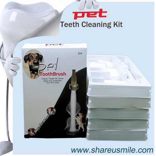 2020 New Dog dental care shareusmile pet toothbrush dog teeth cleaning products