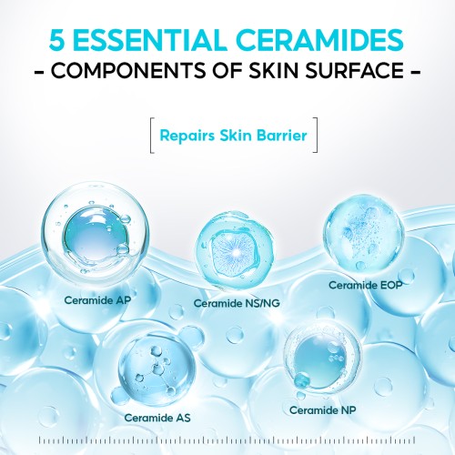 SKINCARE PAPA FEEL Skin Barrier Repair Moisturizer 80g | Reduces Redness | 5X Ceramide | Centella Asiatica | Soluble collagen