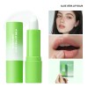 Plant Extract Aloe Lip Balm, Moisturizing Hydrating Lip Treatment, Gentle Lip Protectant for Daily All‑Season Lip Care