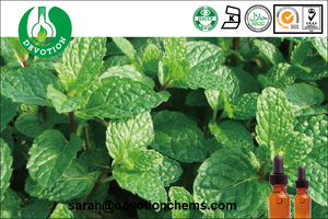 Pure and Natural Spearmint Essential Oil Aroma Therapeutic Absolute Oil