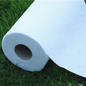 White Bamboo Kitchen Paper Towel Roll