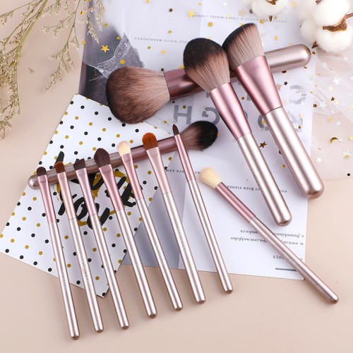9-Piece Professional Makeup Brush Set with Storage Case | Face & Eye Brushes | OEM/ODM Private Label Available