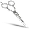 Professional Hair Salon Scissors 6.5 Inch with Sword Blade Barber Scissors Japanese 440C Hair Shears